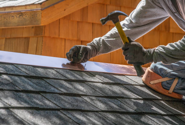 Best Metal Roofing Installation  in , AZ