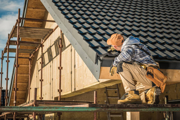 Best Roof Coating and Sealing  in , AZ