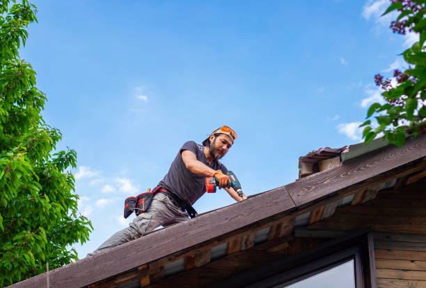 Best Storm Damage Roof Repair  in , AZ