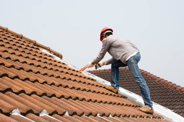 Best Gutter Installation and Repair  in , AZ