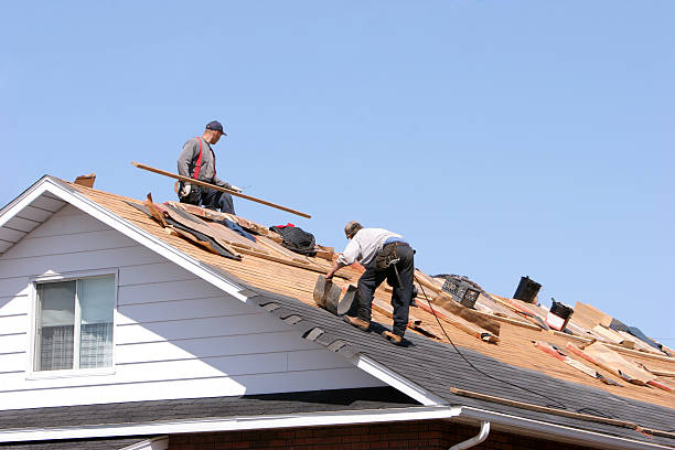 Best Skylight Installation and Repair  in , AZ