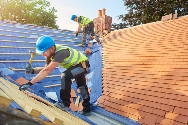 Best Metal Roofing Installation  in , AZ